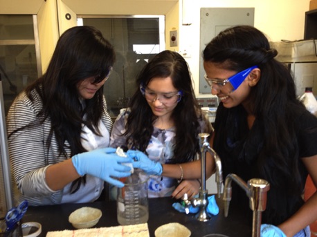 Hunter College Research Group
2015 Hunter College Research Group
2015