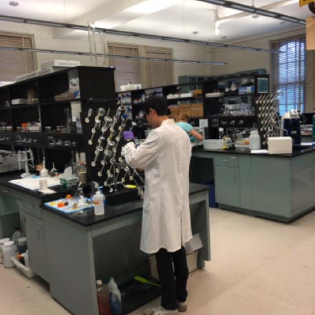 Grad Students at work
2019 Grad Students at work
2019