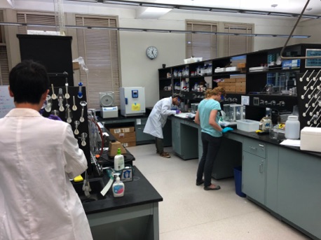 Grad Students at work
2019 Grad Students at work
2019