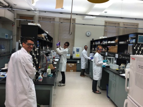Grad Students at work
2019 Grad Students at work
2019