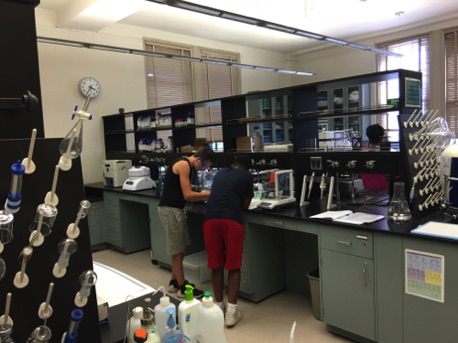 Learning in the lab
Summer 2016