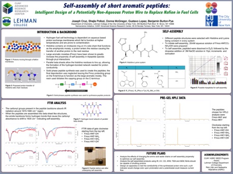 Self-assembly of Short Aromatic Peptides
2018